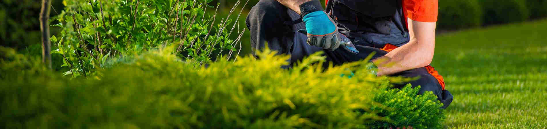 Imprese di giardinaggio