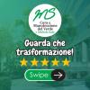 Cura E Manutenzione Del Verde Di Michele Sala