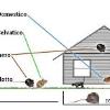 Diseco Srl Disinfestazioni Ecologiche