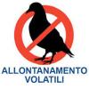 ALLONTANAMENTO VOLATILI