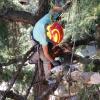 Treeclimberservice