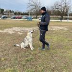 Luca Dog Trainer