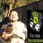 Tommaso Fattoria Boscodirovo